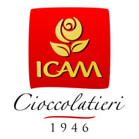 logo icam grande.jpg