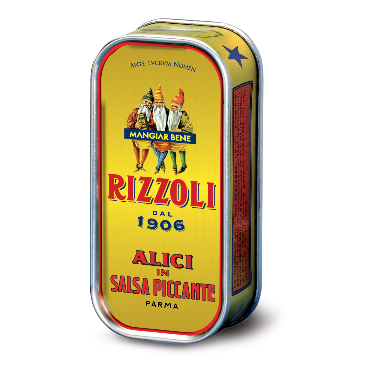 Anchovy fillets in spicy sauce 90g The Authentic