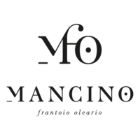 mancino_logo png.png