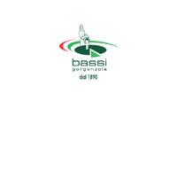 Logo nuovo Bassi PNG.png